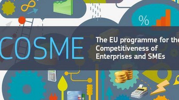 PROJEKAT LIR: „ Objavljen javni poziv za bh. kompanije u EU COSME trening ”